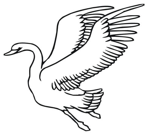 Flying Swan Coloring Page